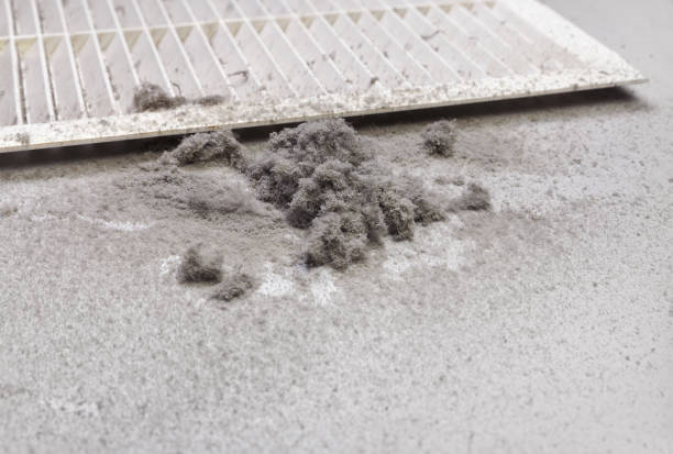 Best Best Air Duct Cleaning Company  in Whitney, NV