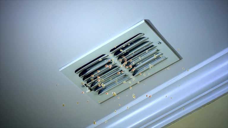 Best General Air Duct Cleaning  in Whitney, NV