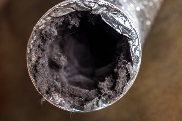 Best Best Air Duct Cleaning Company  in Whitney, NV