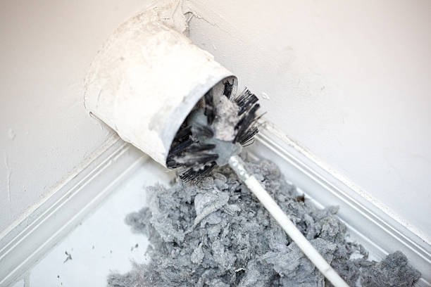 Best HVAC Air Duct Cleaning  in Whitney, NV
